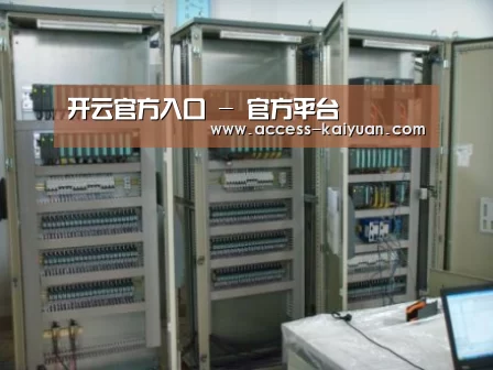 开云体育服务案例展示五