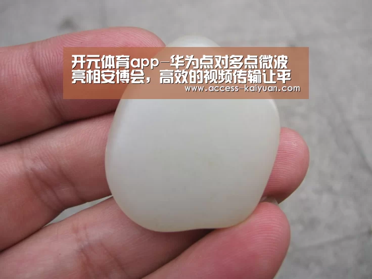 开元体育app-华为点对多点微波亮相安博会,高效的视频传输让平安可以预见(图1) 开云体育服务
