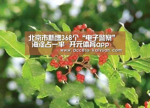 开元体育