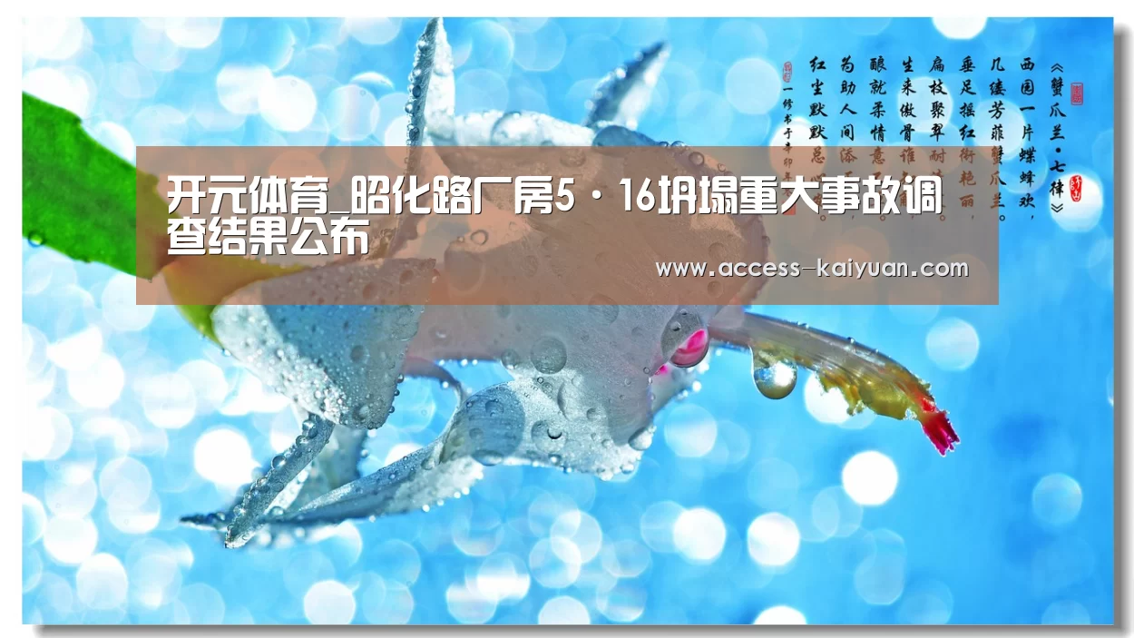 开元体育_昭化路厂房5·16坍塌重大事故调查结果公布(图1) 开云体育网站