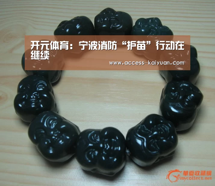 开元体育:宁波消防“护苗”行动在继续(图3) 开云体育服务