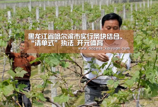 黑龙江省哈尔滨市实行条块结合、“清单式”执法_开元体育(图3) 开元体育