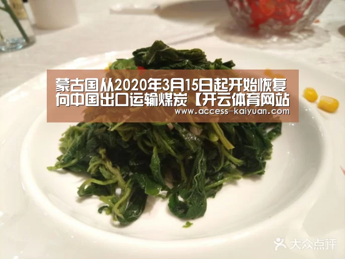 蒙古国从2020年3月15日起开始恢复向中国出口运输煤炭【开云体育网站】(图2) 开元体育app