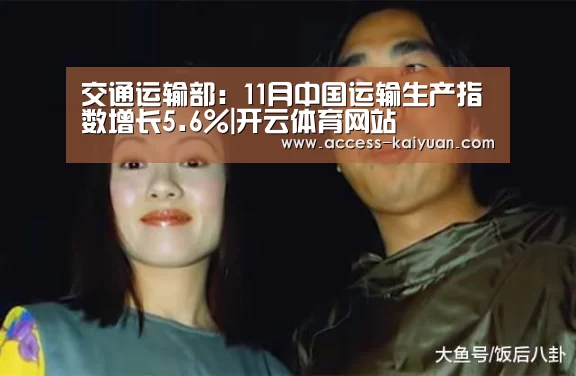 交通运输部:11月中国运输生产指数增长5.6%|开云体育网站(图2) 开元体育