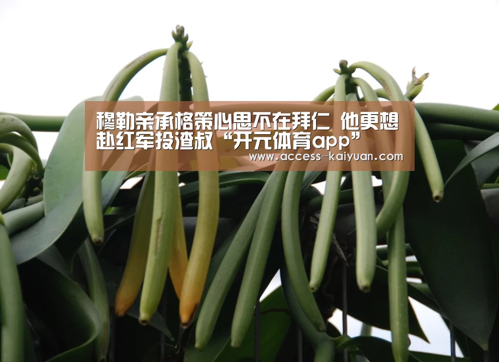 穆勒亲承格策心思不在拜仁 他更想赴红军投渣叔“开元体育app”(图1) 开云体育服务