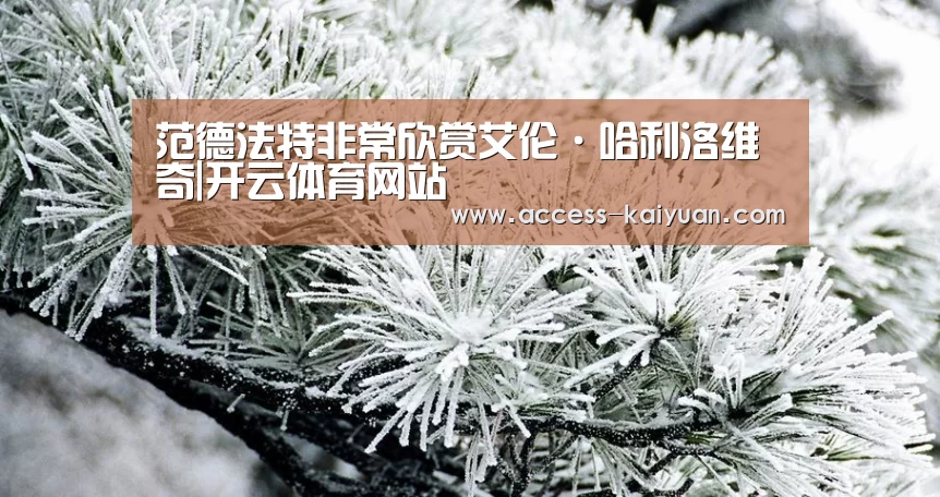 开云体育服务