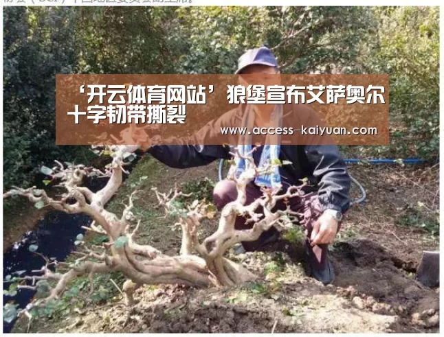 ‘开云体育网站’狼堡宣布艾萨奥尔十字韧带撕裂(图2) 开元体育