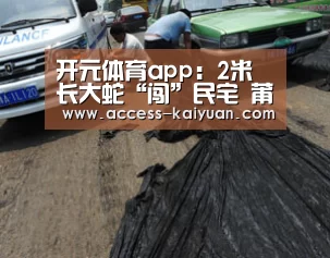 开元体育app:2米长大蛇“闯”民宅 莆田消防抓捕解民忧(图3) 开元体育